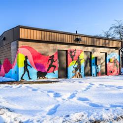 A Day at the Park Installation